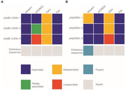 Investigation of multidrug-resistant plasmids from carbapenemase-producing Klebsiella pneumoniae clinical isolates from Pakistan